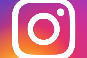 Instagram Bichonnerie 